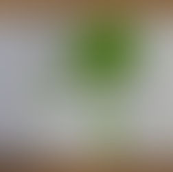 More Smartwater kits being delivered to residents by PCSO's in Southport