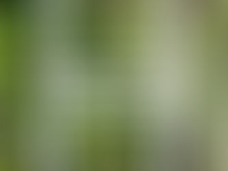 Offers please - 8 bi-fold white frames still in protective plastic