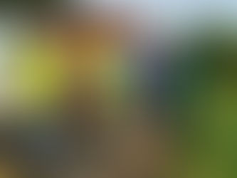 Out with the old and in with the new - After fifty years Formby Bridge gets new railings