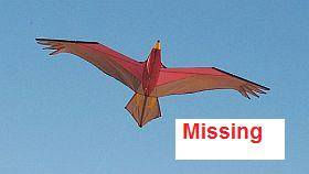 Bird Kite taken from Garden.....