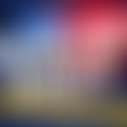 Detectives are appealing for information after shots were fired at a house in Bootle