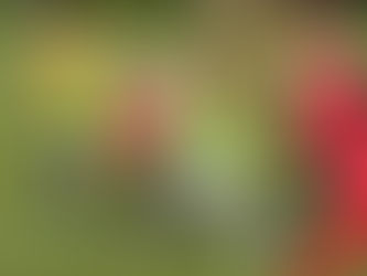 Formby Junior Sports Club- New season starts this Saturday at Deansgate Lane - U7’s and U13’s needed