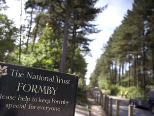 National Trust Formby expected to be very busy today