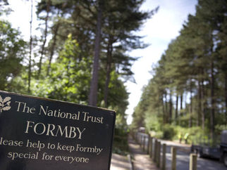 National Trust Formby expected to be very busy today