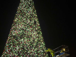 Europes Largest Walk In Christmas Tree.....Switch On tonight