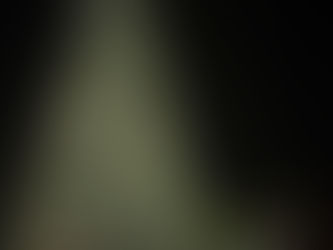 Europes Largest Walk In Christmas Tree.....Switch On tonight