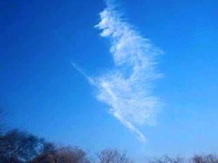 A Witch on a Broomstick over our Bubble