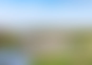 Body Discovered on Birkdale Beach – Emergency Services at the Scene