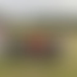 Under 9 Whites Reach Jim Rourke Trophy Cup Final After Semi Final Win