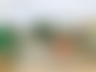 Fishermans Path Level Crossing is closed due to a serious incident