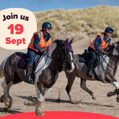 Horses to return to Formby Beach for spectacular exclusive autumn ride through the dunes