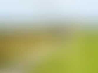 New Sefton Active Cycle route starting at Formby railway station