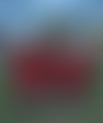 Formby High Y8 secure a 3–1 victory in the Merseyside Cup!