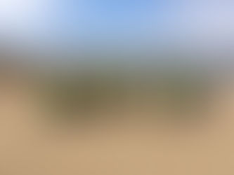 Sea Life Centre Manchester held another successful Formby beach clean collecting almost 80kg of rubb