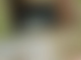 Formby drains are blocked and toilets back-filling