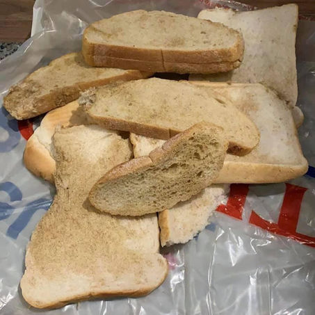 Poison Bread Killer strikes again as three dogs have been killed in Sefton