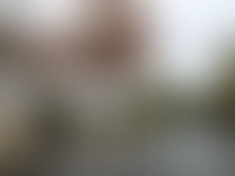 Good Morning in our very wet Bubble