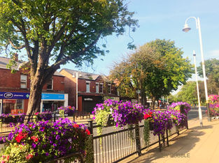 Horse Chestnut Trees to be chopped in Formby Village and Parish Councillor says it is simply an act