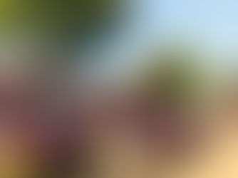 Horse Chestnut Trees to be chopped in Formby Village and Parish Councillor says it is simply an act