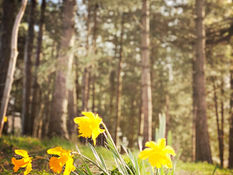 Good Morning on Friday 18th March. Decent sunny spells in #Formby this afternoon