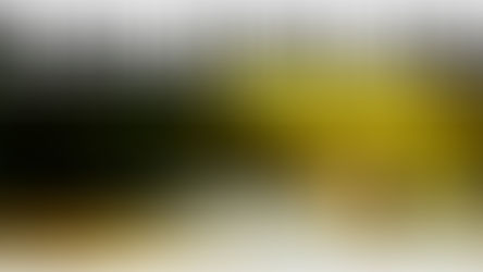 Mersey Rivers Trust team to hold a talk about how to improve local rivers and waterways