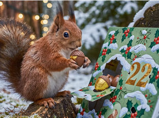 Good morning on Monday 22nd December which is the 356th day of the year