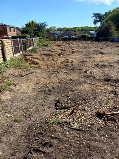 Formby Parish Council Takes Action Over Suspected Wildlife Crime at Bushbys Lane