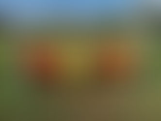 Formby Community FC weekly roundup of games by Tina Hamilton