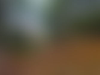 Earth Hour tonight -8:30pm to 9:30pm