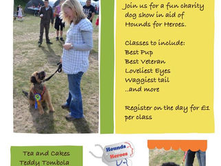 Fun Dog Show today in Formby