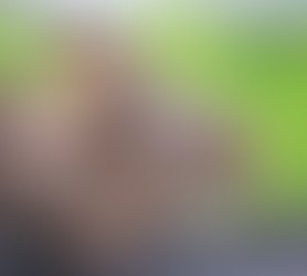 Killer disease which affects rabbits -Myxomatosis, is present in Formby