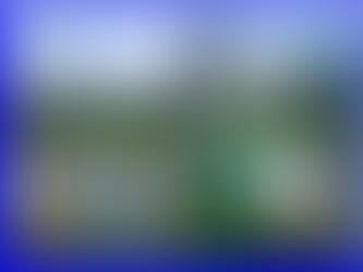 We have FOUR 'outstanding' schools in Formby, according to Ofsted