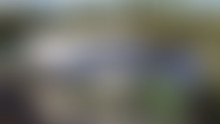 Plans for New Padel Courts in Birkdale Move a Step Closer