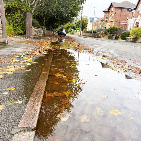 URGENT: Dangerous Water Leak at Elsinore Court on Abbotsford Road - Action Needed NOW