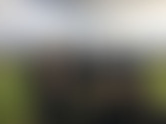 FRANK'S REPORT 28th Nov, 2016