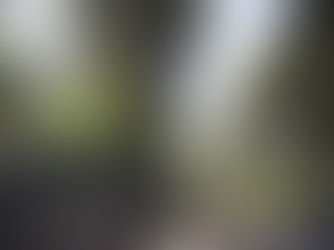 National Trust Formby is closed now until after Storm Doris which forcasts 80mph winds