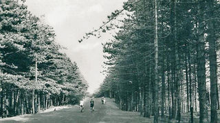 How the National Trust came to Formby in 1967