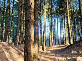 Good morning on Friday 20th May. Scattered showers today and feeling a little cooler in Formby