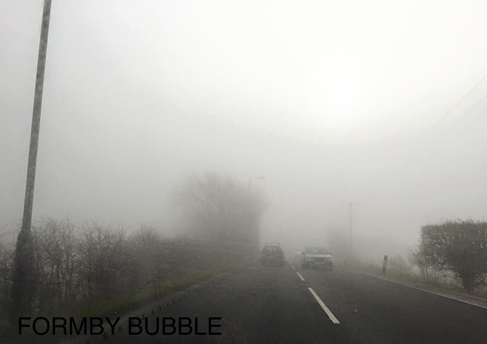 Foggy Ince Woods.jpg