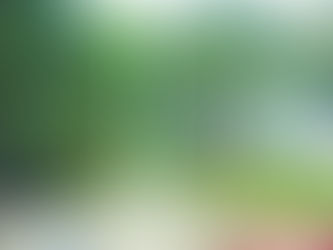 Formby Battle of the Somme Commemoration today at 4:15pm