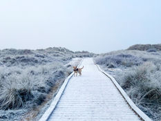 Good morning on Tuesday 13th December. Its -1°C staying cold with Winter sunshine this afternoon