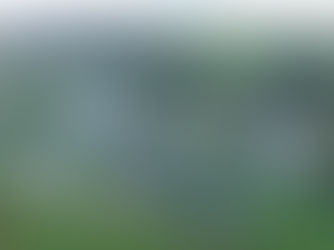 An insight into Altcar Training Camp in Hightown by Chief Executive, Colonel Mark Underhill