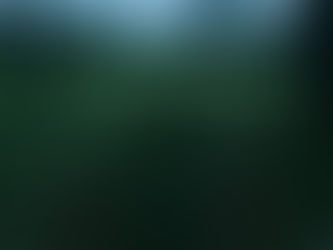 Good Morning on the last day of June