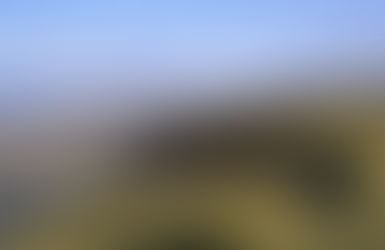 £72,000 boost to protect Formby Nature Reserve