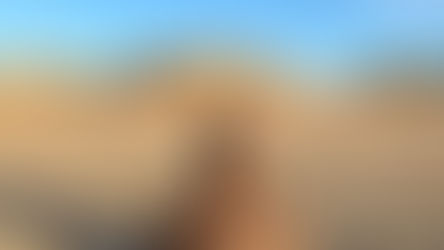 Good Morning on Tuesday 8th March which is International Women’s Day. Bright and breezy in Sefton