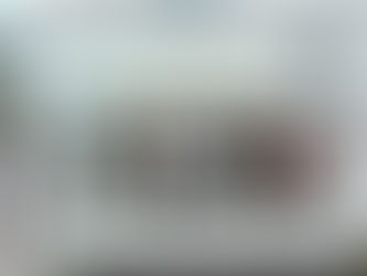 Freshfields Animal Rescue Shop in Formby closes this Saturday