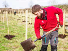 Looking for a lasting Christmas gift? Plant a tree with the National Trust for your loved one