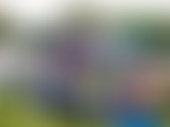 The Formby Festival is back this year in July