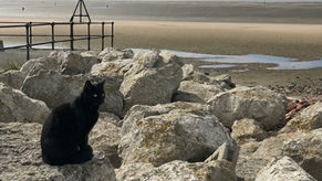 Good Morning on Friday 13th February. An unsettled end to the week with more rain in Sefton