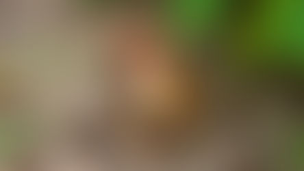 Good Morning on Thursday 12th August. A dry day with sunny spells and winds strengthening in Sefton